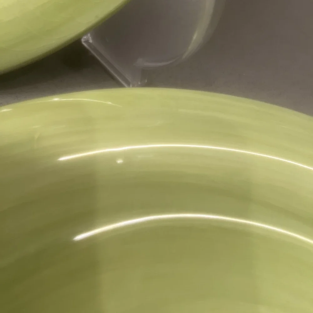 3-Dinner Plates Tabletop Gallery Playa Sage Green Hand Painted